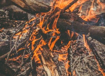 Wide gallery full width